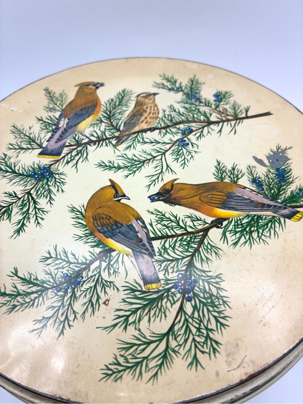 Vintage Tom Sturgis Bird Tin Round Metal Storage Box Cottagecore - Picture 2 of 16
